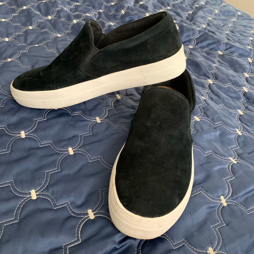 GILLS BLACK SUEDE Steve Madden Shoe